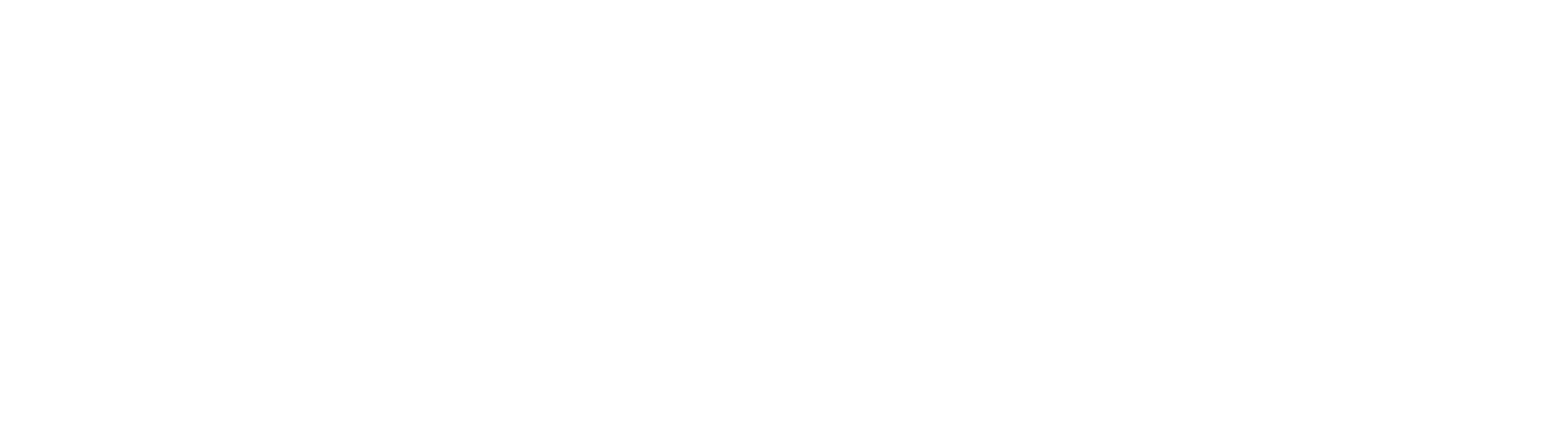 Qraia Logo White
